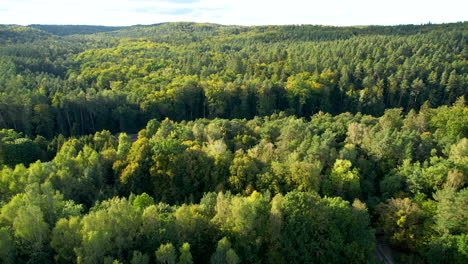 Eine-Weite-Grüne-Waldfläche-Auf-Einem-Hügeligen-Gelände---Drohnensockelbewegung