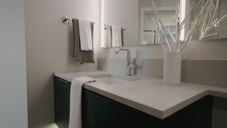 Moderne-Und-Saubere-Badezimmerarbeitsplatte-Mit-Weißen-Akzenten