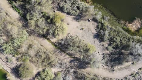 Drone-looking-down-at-desert-landscape-and-green-river-in-a-park-outside-Phoenix-Arizona,-Untied-States