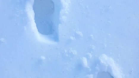 Following-footsteps-in-deep-snow