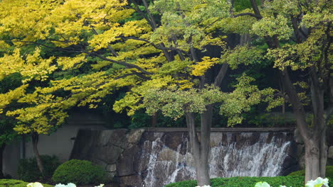 Beautiful-autumnal-trees-and-a-small-waterfall-in-Ueno-Park,-Tokyo
