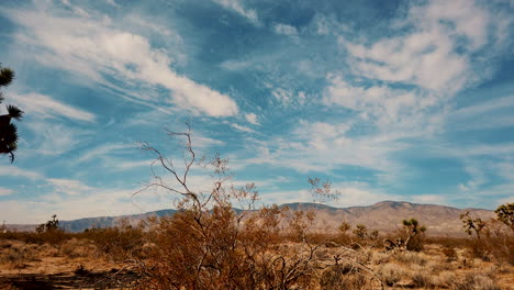 Schwenkzeitraffer-Von-Wolken-In-Der-Winterlandschaft-Der-Mojave-Wüste