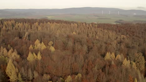 Drone-Volando-Entre-árboles-En-El-Parque-Nacional-De-Harz-En-Otoño-Con-Hojas-Rojas-Y-Naranjas-Cayendo-Al-Suelo,-Alemania,-Europa