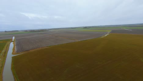 Drone-flying-through-a-flock-of-seagulls-above-a-flat-farm-field