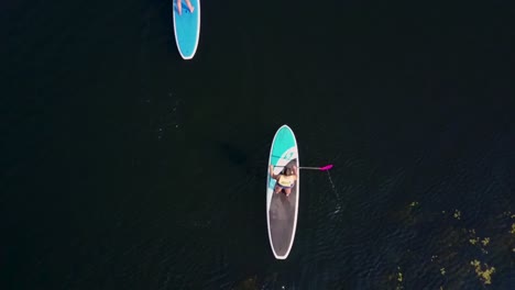 Aerial,-top-down,-drone-shot,of-people-paddle-boarding-on-a-lake,-passing-through-frame,-in-Washington-state,-USA
