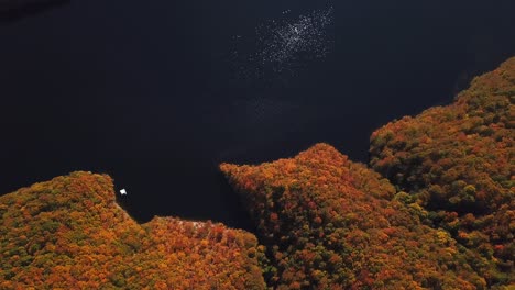 Sliding-drone-shot,-top-view,-of-lake-Tarnita,-Romania,-surrounded-by-colorful-autumn-trees