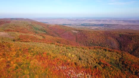 Aerial-view-of-a-colorful-autumn-mountain-forest