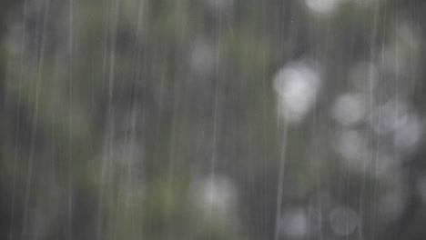 Regentropfen-Fallen,-Ruhige-Meditative-Kalte-Regnerische-Tagesszene-Mit-Bokeh-unschärfe