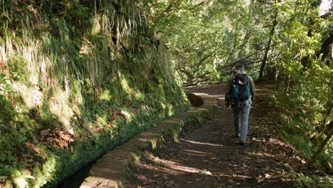 Folgenden-Mann-Zu-Fuß-Entlang-Levada,-Bewässerungskanal-In-Madeira