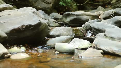 Low-POV-of-tranquil-scene-with-stones-on-riverbed