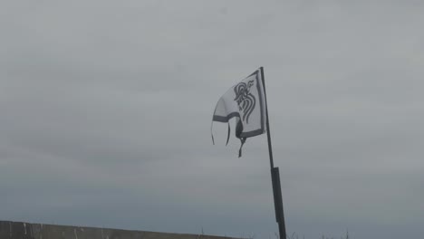 Flag-in-wind-against-cloudy-sky,-renaissance-fair,-Philadelphia-Renaissance-Fair,-Fort-Mifflin,-Pennsylvania