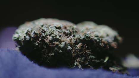 Grayish-Green-Dried-Marijuana-Bud---Close-Up-Shot