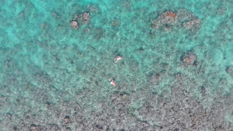 Young-couple-snorkelling-in-clear-green-ocean