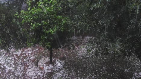 Destructive-hail-thunder-storm-hitting-trees-and-leaves-in-garden-with-hailstones-and-causing-damage,-very-severe-natural-disaster-followed-by-heavy-rains-causing-floods