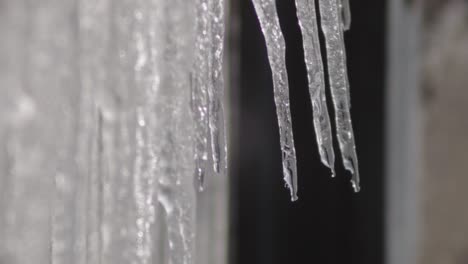 Icicles-Melting-And-Rapidly-Dripping-Water---Closeup-Shot