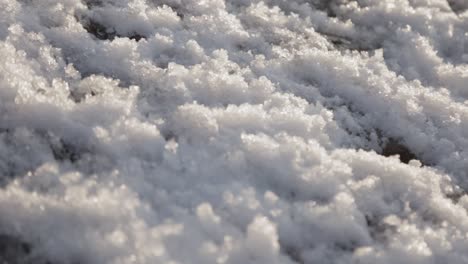 White-Snow-On-The-Ground-During-Winter