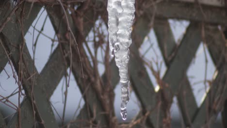 Drops-Of-Water-Falling-On-The-Piece-Of-Ice-Hanging-On-The-Wooden-Fence