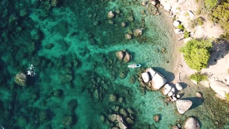 Vibrant-Coastline-With-Turquoise-Alpine-Water-and-Paddle-Boarder-on-Lake-Tahoe-USA,-Top-Down-Drone-Aerial-View