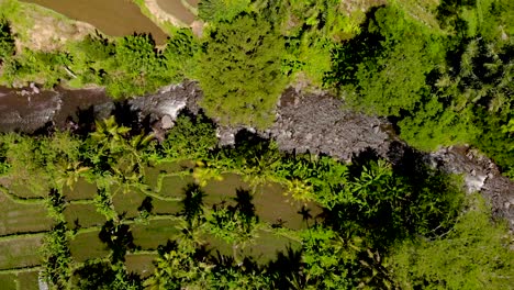 Un-Dron-Aéreo-De-4k-Disparó-Sobre-Un-Exuberante-Río-En-Indonesia