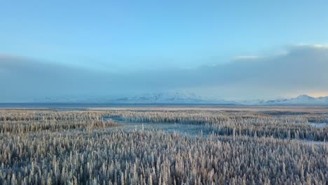 Antenne,-Drohnenschuss,-über-Schneebedecktem-Wald,-Bei-Sonnenuntergang,-An-Einem-Kalten-Und-Sonnigen-Winterabend,-In-Gakona,-Alaska,-USA
