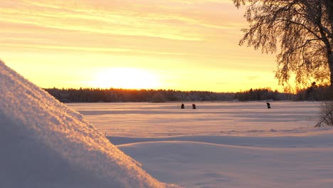Tracking-shot-of-people-ice-fishing,-on-snow-covered-ice,-at-sundown,-on-a-sunny,-winter-evening,-in-Ostrobothnia,-Finland