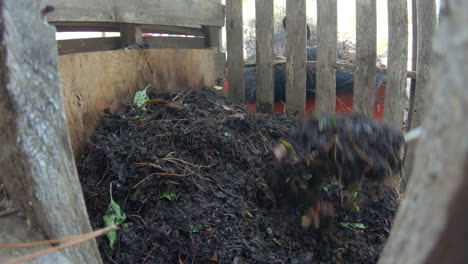 working-compost-in-a-pallet-bin-using-a-garden-fork