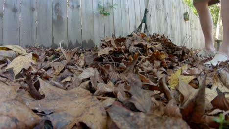 ground-level-shot-of-raking-leaves-inside-wooden-fence