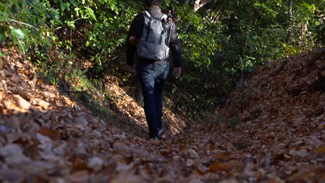 A-Young-Man-Walking-Into-The-Narrow-Way-Heading-Into-The-Woods-With-Dried-Leaves-On-The-Ground-Under-The-Reflection-Of-A-Bright-Sunlight---Wide-Shot