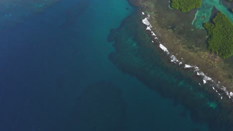 Aerial-tilt-up-from-blue-ocean-to-tropical-jungle-palm-tree-Panama-island-jungle-resort-coastline-birds-eye-view