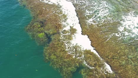 Luftaufnahme-über-Tropischer-Blauer-Transparenter-Korallenrolle-Ansicht-Der-Tiefe-Unter-Wasser
