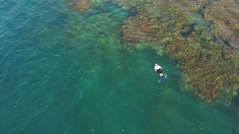 Aerial-view-above-diver-swimming---exploring-Panama-coral-reef-ocean-scenery