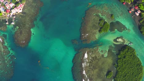 Vista-Aérea-Aérea-Sobre-El-Arrecife-De-Coral-De-Panamá-Isla-Tropical-Palmera-Paisaje-Selvático