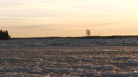 Single-tree-island,-harsh-cold-climate,-waves-of-ice-drifting