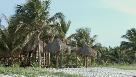 Wind-shaking-palm-trees-on-beach-with-straw-umbrellas