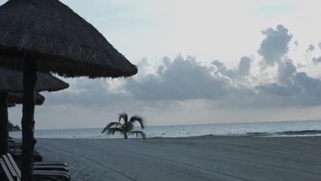 Beach-chairs,-straw-umbrella-and-palm-tree-on-tropical-beach
