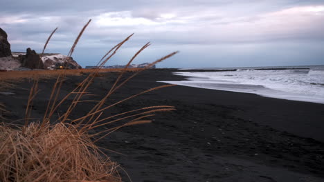 Iconic-Iceland-view-with-mountains-winter-clouds-and-a-black-sand-beach-in-the-background-and-sea-oats-in-the-foreground