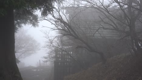 An-Old-House-In-The-Middle-Of-The-Woods-Surrounded-By-Creepy-Trees-On-A-Foggy-Morning-In-Japan--Medium-Shot