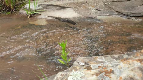 flowing-water-from-a-mountain-spring-water-stream-running-down-huge-sandstone-slabs-of-rock-with-green-plant,-crystal-clear-drinking-water,-meditate-tranquil-and-peaceful-calm-slow-motion-footage