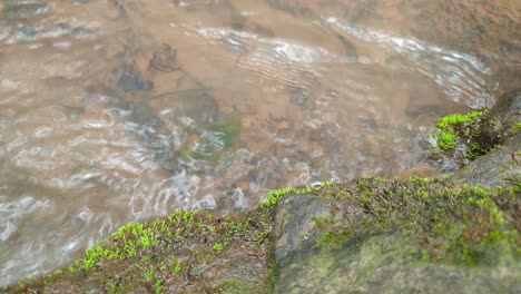 meditate-tranquil-and-peaceful-calm-slow-motion-footage-of-flowing-water-from-a-mountain-spring-water-stream-running-down-huge-sandstone-slabs-of-rock-with-green-moss,-crystal-clear-drinking-water