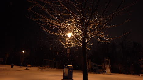 Quiet-park-at-night-with-snow-and-tree-covered-in-ice-after-freezing-rain
