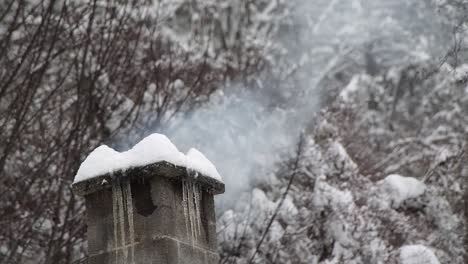 Smoke-coming-out-from-a-brick-chimney-in-Canada-with-snow-covered-branches-and-trees