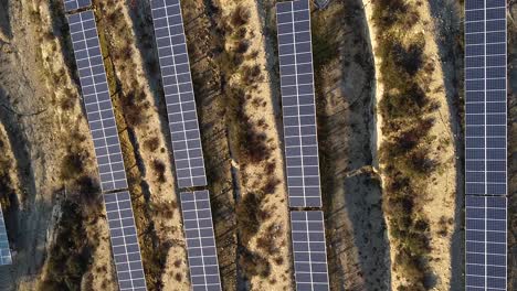 Wide-top-down-view-of-a-large-solar-farm-installed-in-a-dry-desert-like-are-of-Europe
