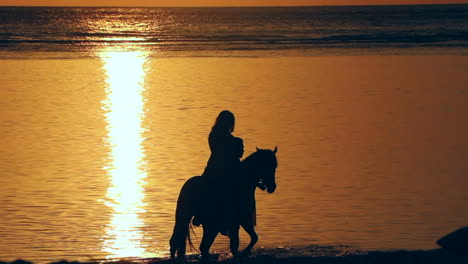 Sonnenuntergang-Silhouette-Einer-Frau-Am-Strand-Auf-Einem-Pferd,-Das-Ins-Wasser-Geführt-Wird