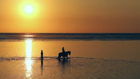 Silhouette-of-a-tour-guide,-horse-and-woman-being-coaxed-into-the-Ocean-at-sunset