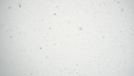 snowing-heavily-with-one-flake-hitting-the-lens-while-looking-upwards