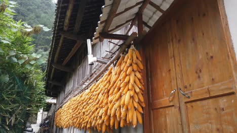 Corn-hanging-for-drying-along-facade-of-traditional-building,-Guizhou,-China,-Handheld-dolly