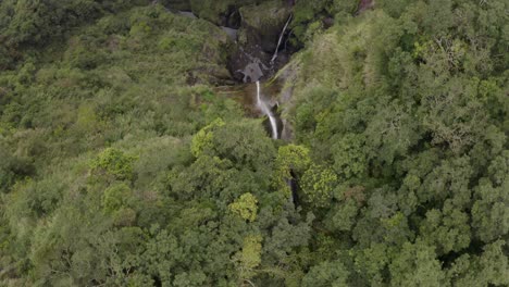 Vogelperspektive-Aus-Der-Luft,-Die-Sich-Vorwärts-über-Die-Fließende-Wildnis-Des-Taiwanischen-Dschungels-Bewegt,-Die-Einen-Felsigen-Klippenwasserfall-überschwemmt