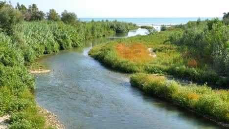 Fluss-Mit-Großer-Grüner-Vegetation-An-Den-Seiten,-Der-Ins-Meer-Mündet