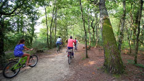 Bike-ride-through-a-lush-forest,-green-nature