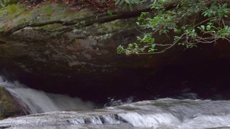Macro-scene-from-a-creek-in-Stone-Mountain-State-Park,-NC